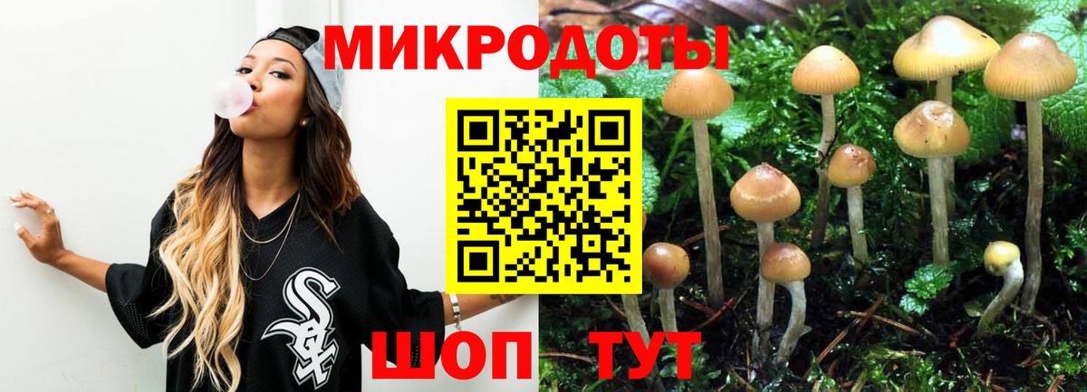 Псилоцибиновые грибы Psilocybe  Вход с VPN  Борзя 